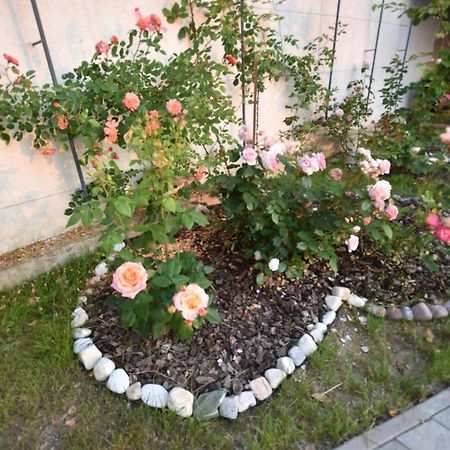 Apartmaji Lejardin Skofljica Luaran gambar