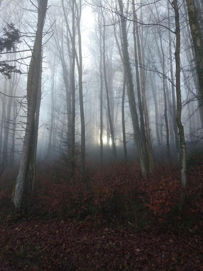 Apartmaji Lejardin Skofljica Luaran gambar