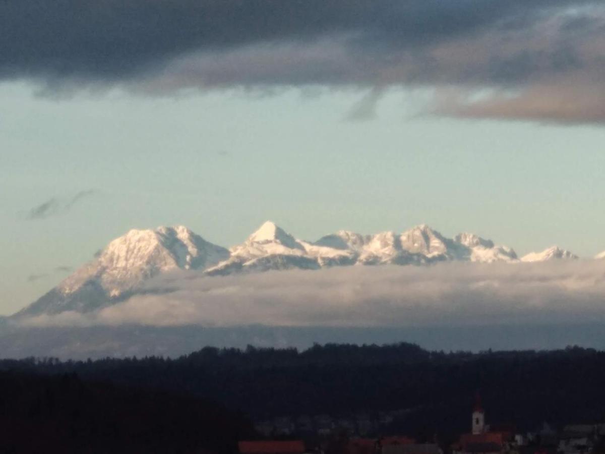 Apartmaji Lejardin Skofljica Luaran gambar