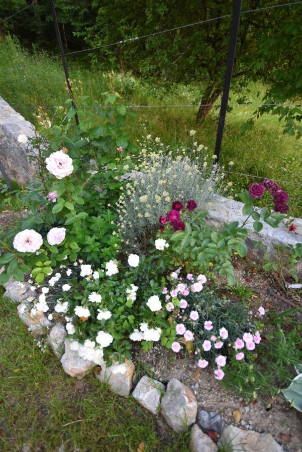 Apartmaji Lejardin Skofljica Luaran gambar